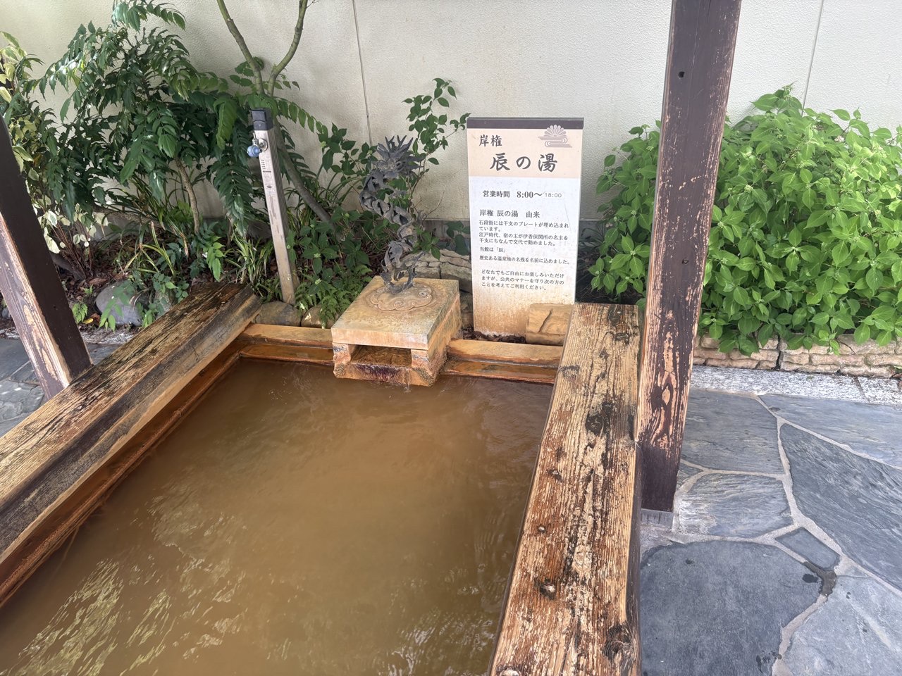 伊香保 茶褐色の黄金の湯